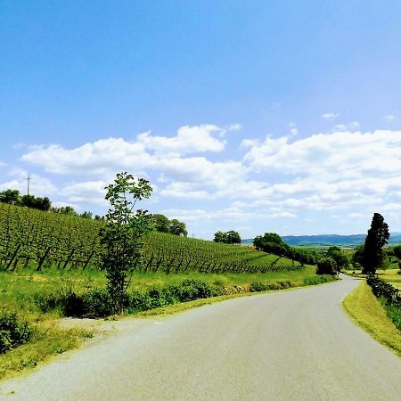 Centralissimo Nel Cuore Del Borgo Suvereto Eksteriør billede