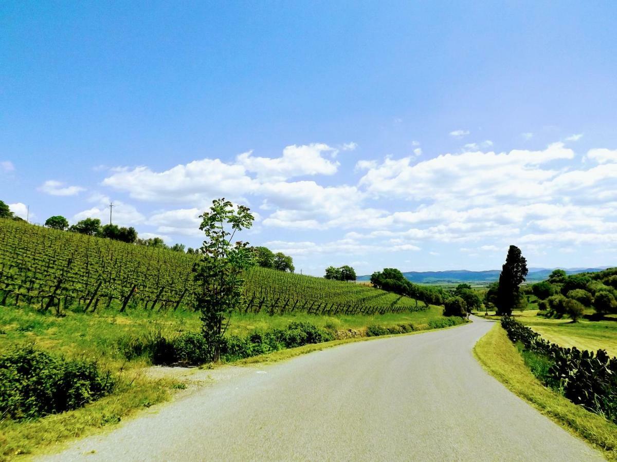 Centralissimo Nel Cuore Del Borgo Suvereto Eksteriør billede