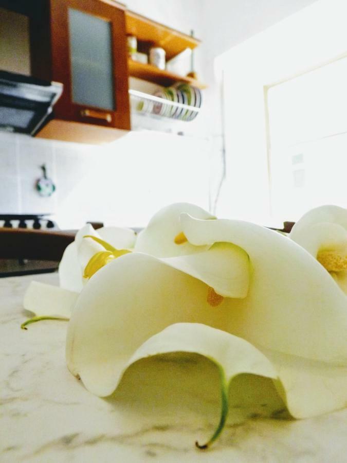 Centralissimo Nel Cuore Del Borgo Suvereto Eksteriør billede